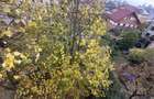 Apartament 3 camere Gara - 12