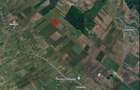 Teren agricol 13,5 hectare | Tartasesti | Ciocanesti | DB - 1