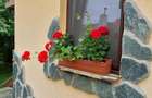 Vand/schimb casa 3 camere renovata recent - 3