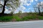 Teren intravilan Bucium Iași – plan doi, 55 ml deschidere, drum privat 7 m - 1