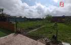 Casa individuala 3 camere, Sacalaz- Cabana cu Semineu - 14