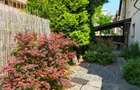 Apartament 3 camere, mobilat, utilat, 50 gradina, parcare, Grigorescu - 8