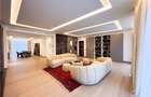 Apartament de inchiriat 5 camere Kiseleff - 6