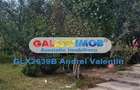 Direct Proprietar - Casa   Vila de Vanzare P+1+M - Pantelimon - 4
