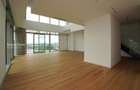 Penthouse Exclusivist | UP-site Floreasca | Terasă Panoramică - 4