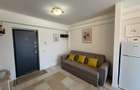 Apartament cu 2 camere Visan - 2