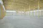 Hala industrială 2.000 mp • Depozitare / Producție • Rampe încărcare • Otopeni - 12