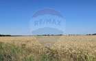 Teren Extravilan la granita cu Intravilanul - Măcheaua-Corbeanca - 2