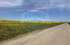 Teren 545,000mp Dragomiresti-Vale - 12