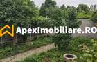Casa 3 camere de inchiriat Baneasa București | ApexImobiliare.ro - 3
