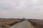 Teren Exclusiv 4.550 mp Ciolpani - Zona Narrative / Pădurea Snagov - 5