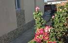 EXCLUSIVITATE! Casa Limanu - 3 camere - 148.000 euro (cod E11+E12) - 4