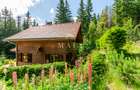 Casa 3 camere, 840 mp teren care include padure, Paltinis - 4