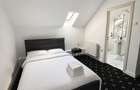 VAND Pensiune 25 camere Grigorescu, Pret si randament EXCEPTIONAL - 3