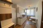 Teiul Doamnei-soseaua Colentina-apartament de 2 camere - 6