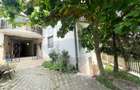 Vila  de vacanta Sibiel - 14