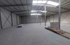 Ovidiu, parc industrial, constructie 2025, 120-1160 mp. - 5