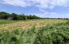 com. Buturugeni, sat Posta, stradal DJ 412A, intravilan, 2720 mp - 15