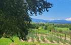 Proprietate cu potențial turistic și agricol | 7.661 mp|Șomanești-GORJ - 3