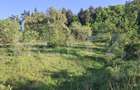 Teren extravilan de vanzare, 10.000 mp, in Valea Zizinului - 4