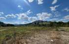 TEREN INTRAVILAN 2,26 HA | SUCEVITA | - 7