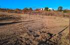 Teren Intravilan de vanzare 3778 mp Branesti Strada Violetelor - 16
