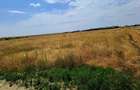 Teren intravilan Carcea , 415 mp , cu front stradal 14,78 m - 1