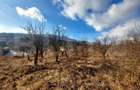 Teren, 1100 mp, zona exterior Nord - 1