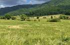 Teren intravilan - padure de agrement - in Brasov. - 5