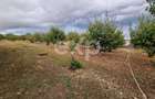 Teren de vanzare  intravilan 660 mp + 1500 livada  Racovița (DB) - 2