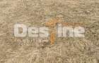 Teren 5000 mp, ideal cabana, pensiune,  in zona de interes  turistic  Rucar-Bran - 6