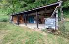 Cabana 3 cam,2 nivele 100 mp+teren extravilan 2,5 ha+1 ha padure, langa Nasaud - 10