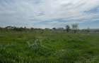 Teren de vanzare in Dancu - 1