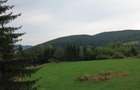 TEREN PREMIUM 5.023 MP ÎN VORONEȚ | BUCOVINA | ZONA MĂNĂSTIR - 21