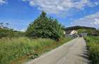 Teren intravilan Sanpetru Brasov - 5