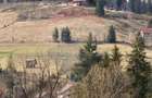 Teren de vanzare în inima Apusenilor –  6.500 mp Arieșeni - 10