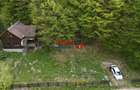Casă de vacanță la pădure | Teren 891 mp | Valea Ighielului - 8