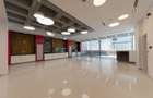 Vila Capo | Luxury offices 1800 mp | Dorobanti Capitale - 4
