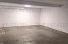 Penthouse intr-o cladire de 4 etaje cu 2 locuri de parcare si boxa in zona flore - 10