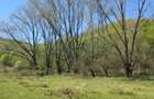 Teren intravilan de vanzare in Borod, 2000 mp, Bihor - 1