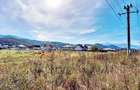 Intrare in Rasnov dinspre Brasov, zona de case noi, teren de 1976mp, - 4