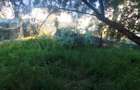 Vila de vanzare / zona Mamaia-Nord - 3