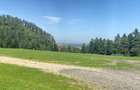 Vand Teren Intravilan 3000mp, PUZ aprobat, Poiana Angelescu, Sacele, Brasov - 4