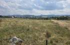 Casă P+M la gri, 119 mp utili și teren de 1.000 mp – Dumbrava Roșie - 5