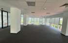 Sediu de companie modern, cu dotări de business center, parcare , Brâncuși 147 - 8