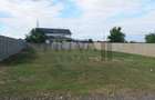 Teren intravilan, 597 mp, fs 20 ml, Mosnita Noua - 7