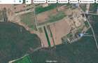 Teren 9247 mp - Ghermanesti - Snagov - 5