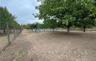 Royal Imobiliare - Vanzare vila zona Lipanesti - 35