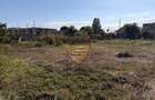 Casă cu teren generos de 1.400 mp – Palazu Mare,