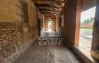 Se vinde casa in Teremia Mare, renovata, teren generos de 1.439 mp - 11
